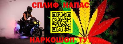 ПСИЛОЦИБИНОВЫЕ ГРИБЫ Краснознаменск