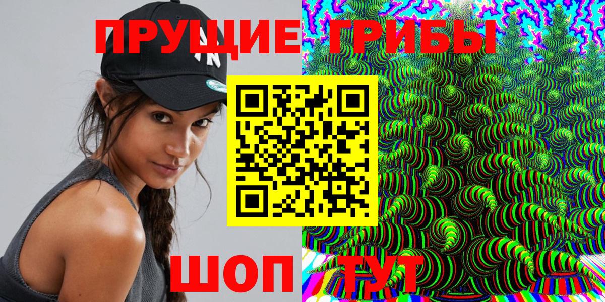 Галлюциногенные грибы Psilocybe Коломна