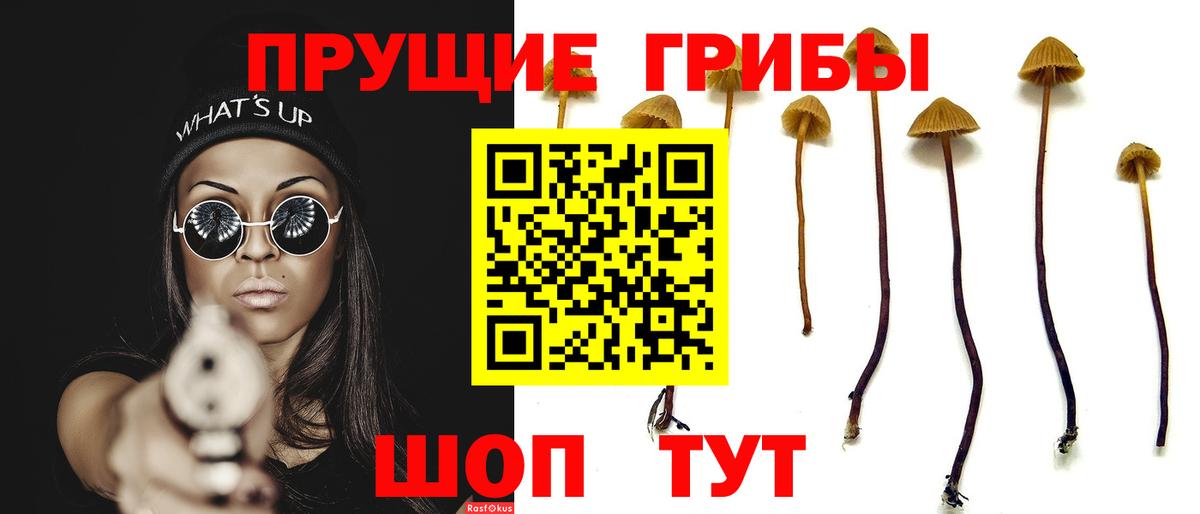 Галлюциногенные грибы Psilocybe  Вход с VPN  Коломна 